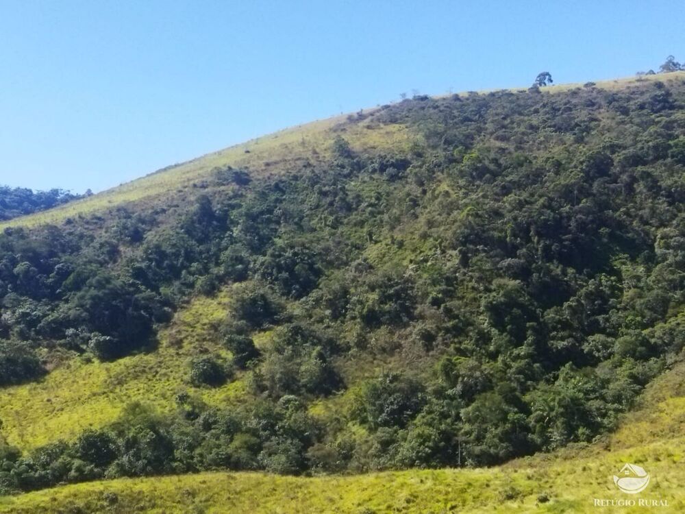 Terreno, 5 hectares - Foto 4