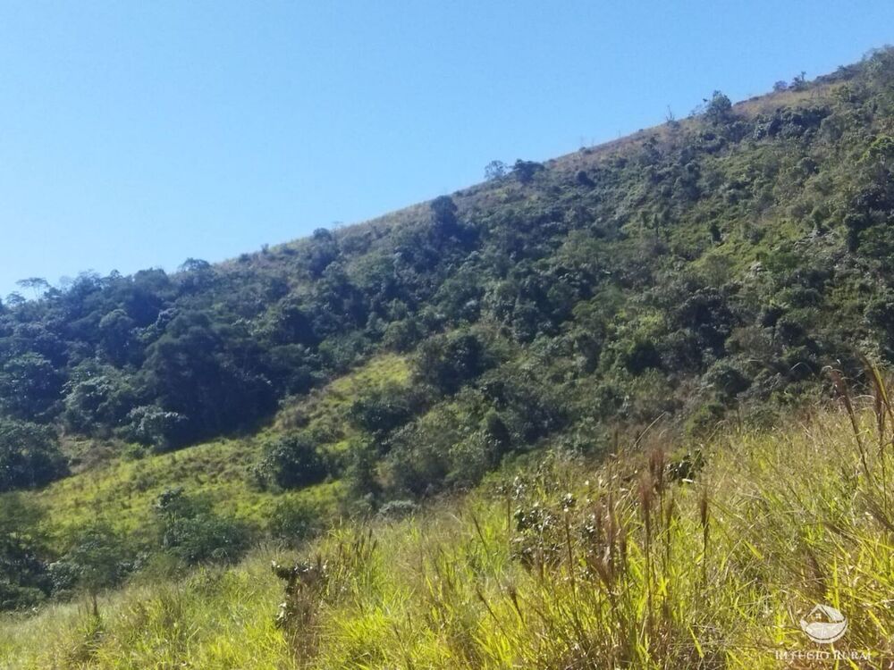 Terreno, 5 hectares - Foto 13