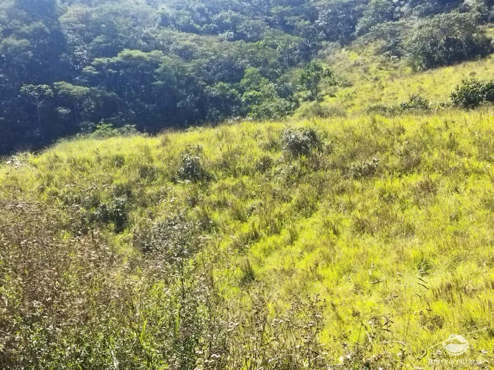 Terreno, 5 hectares - Foto 9
