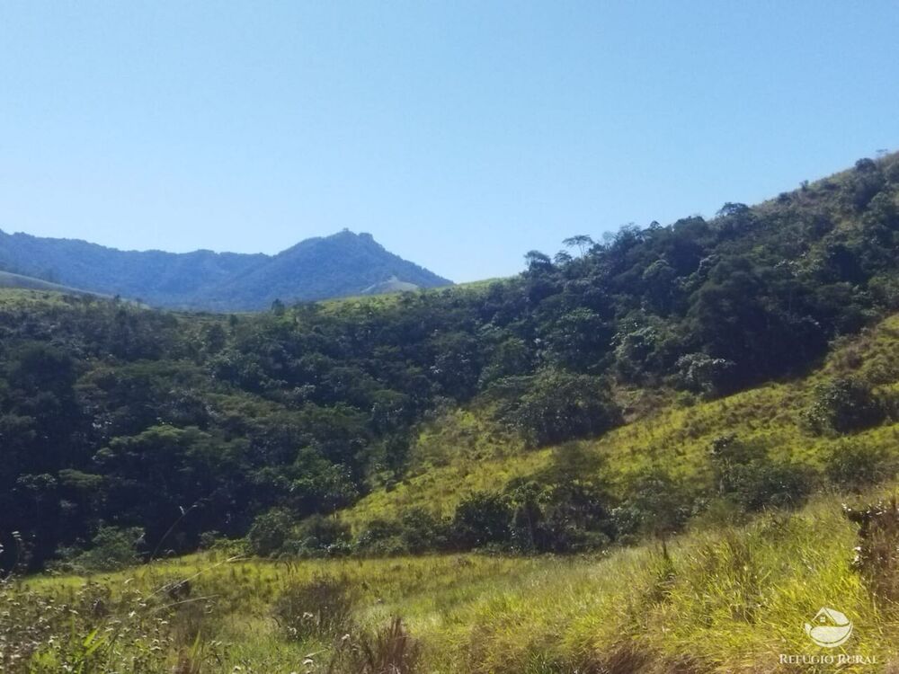 Terreno, 5 hectares - Foto 7