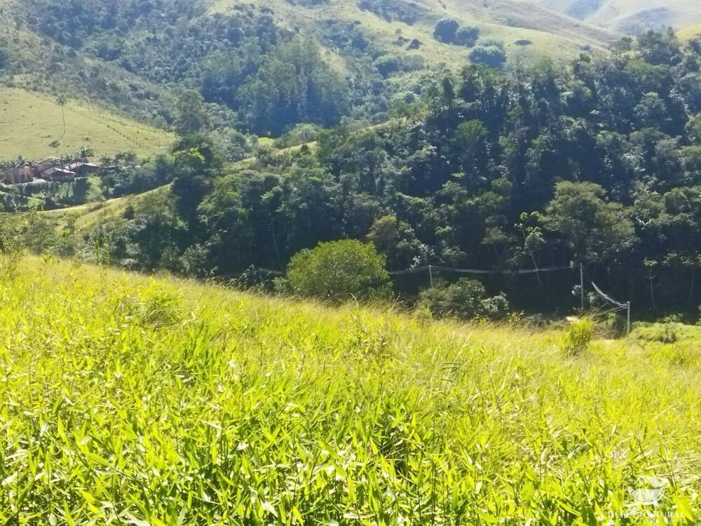 Terreno, 5 hectares - Foto 3