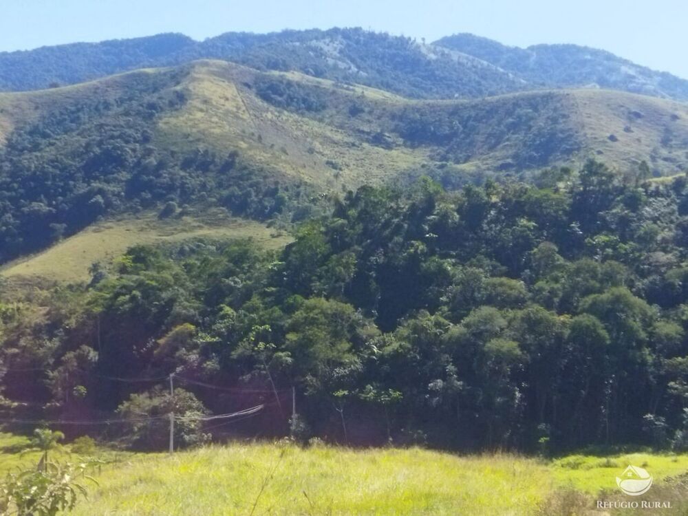 Terreno, 5 hectares - Foto 9