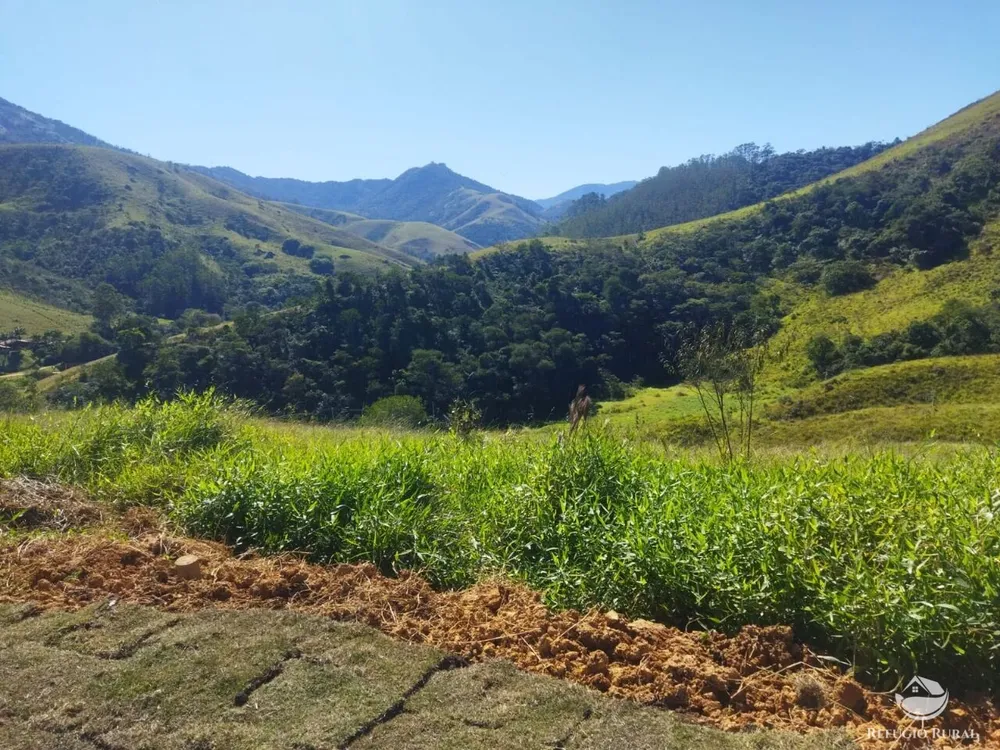 Terreno, 5 hectares - Foto 10