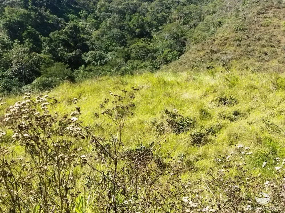 Terreno, 5 hectares - Foto 15