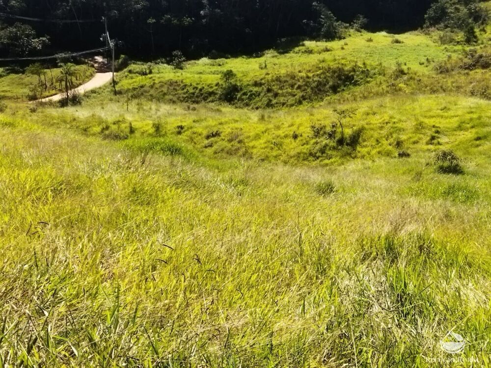 Terreno, 5 hectares - Foto 6