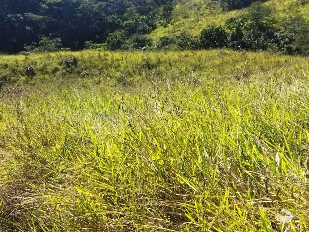 Terreno, 5 hectares - Foto 14