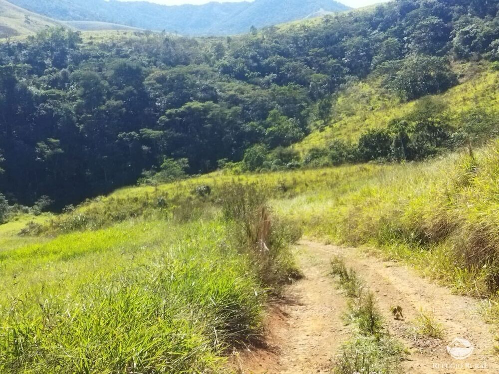 Terreno, 5 hectares - Foto 8
