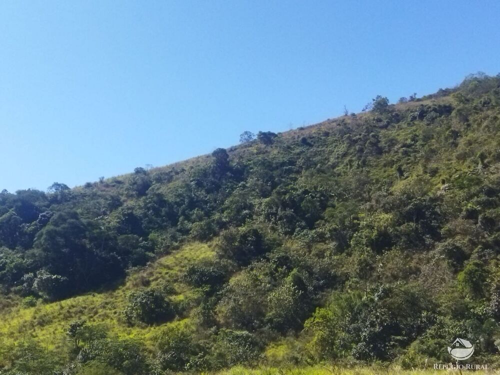 Terreno, 5 hectares - Foto 15