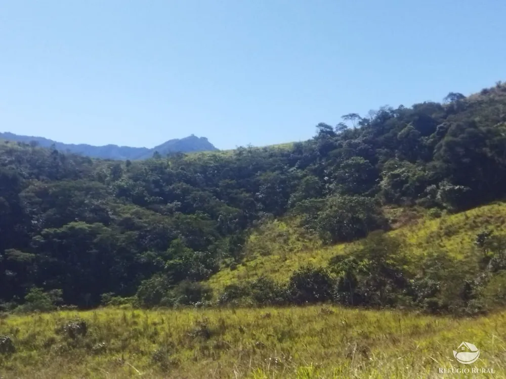 Terreno, 5 hectares - Foto 12