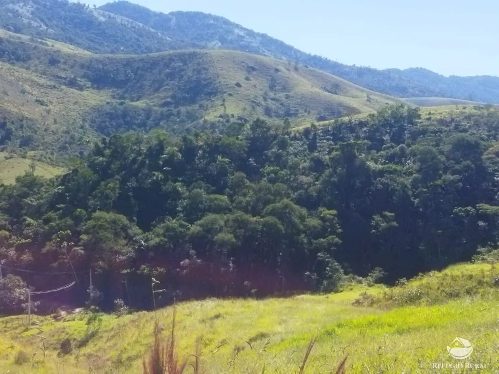 Terreno, 5 hectares - Foto 11