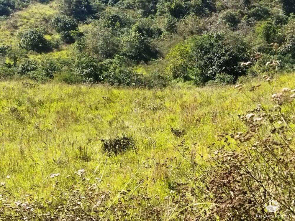 Terreno, 5 hectares - Foto 10