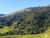 Terreno, 5 hectares - Foto 4