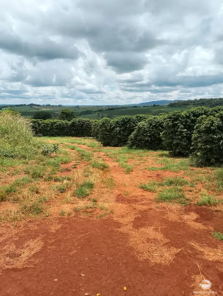 Fazenda, 5050 hectares - Foto 3