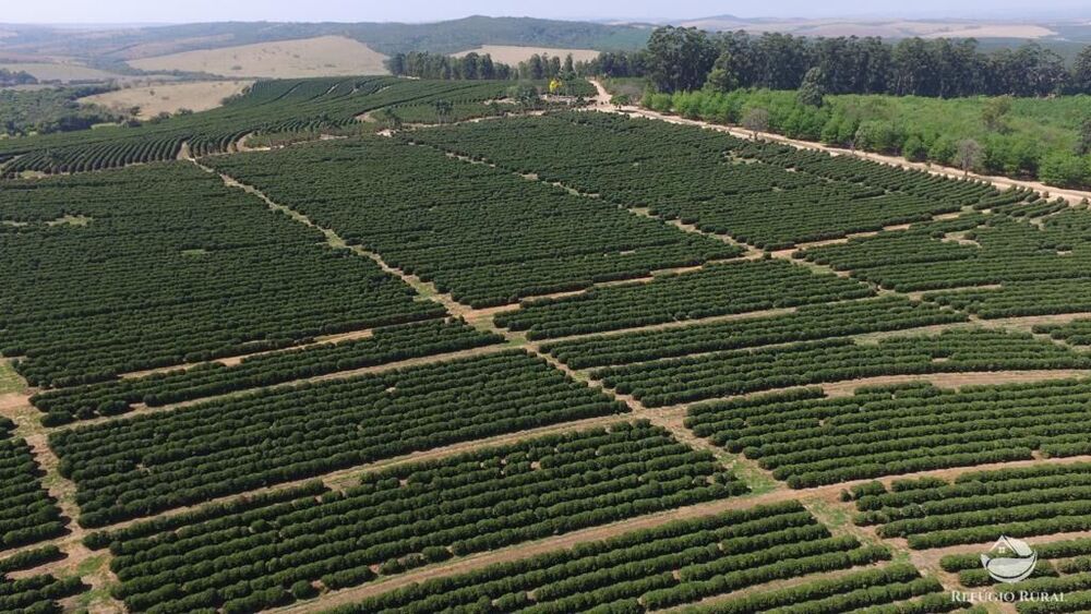 Fazenda, 5050 hectares - Foto 6