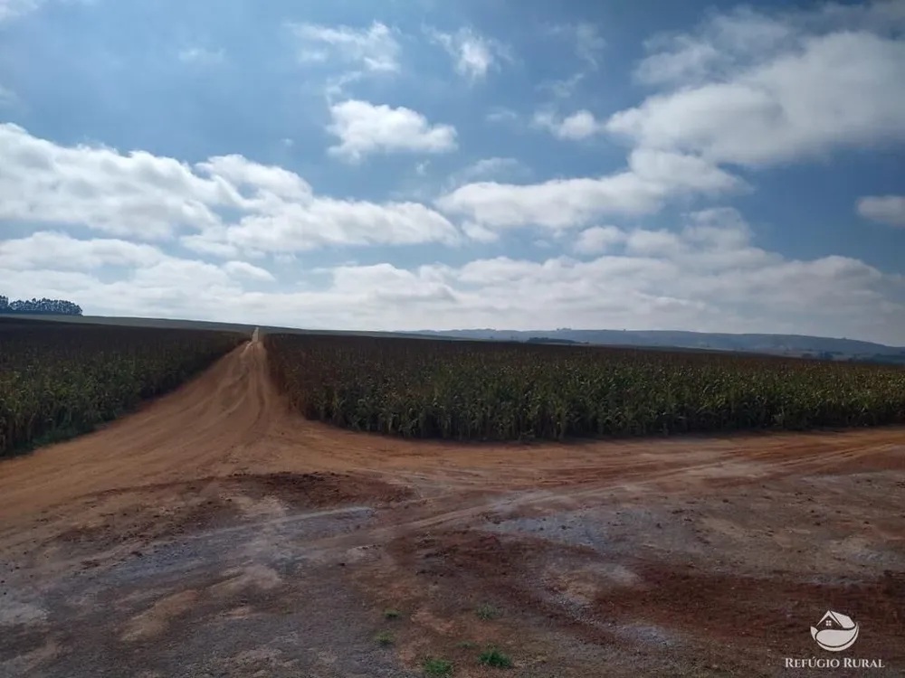 Fazenda, 5050 hectares - Foto 12