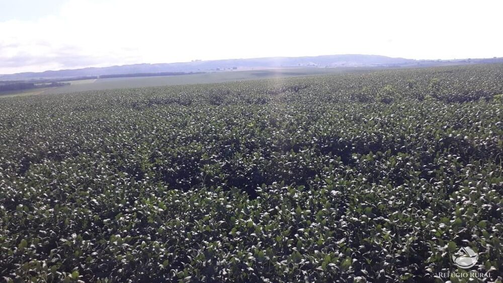 Fazenda, 5050 hectares - Foto 4