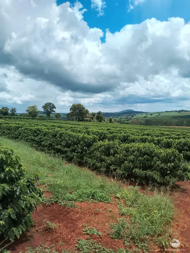 Fazenda, 5050 hectares - Foto 4