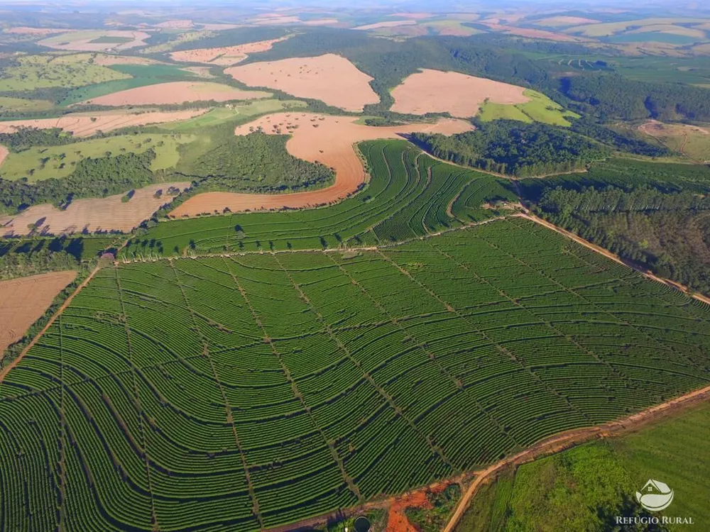 Fazenda, 5050 hectares - Foto 16