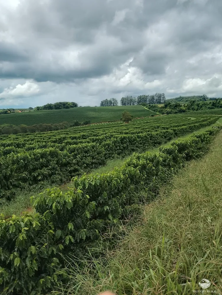 Fazenda, 5050 hectares - Foto 20