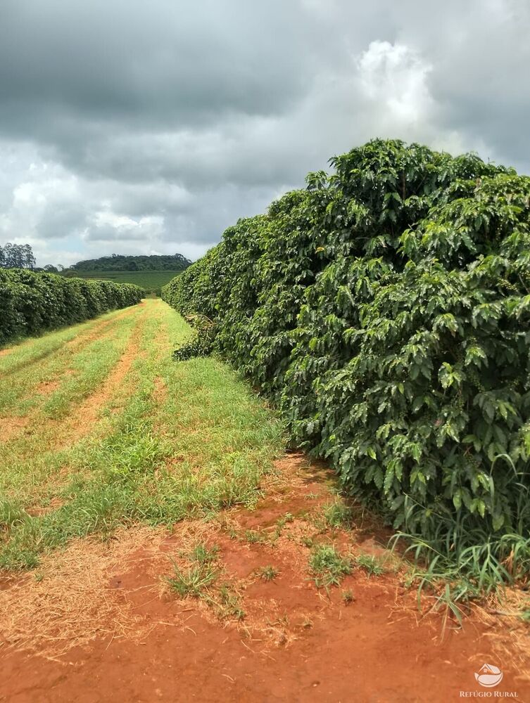 Fazenda, 5050 hectares - Foto 8