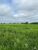 Fazenda-Sítio-Chácara, 4191 hectares - Foto 3