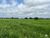 Fazenda-Sítio-Chácara, 4191 hectares - Foto 4