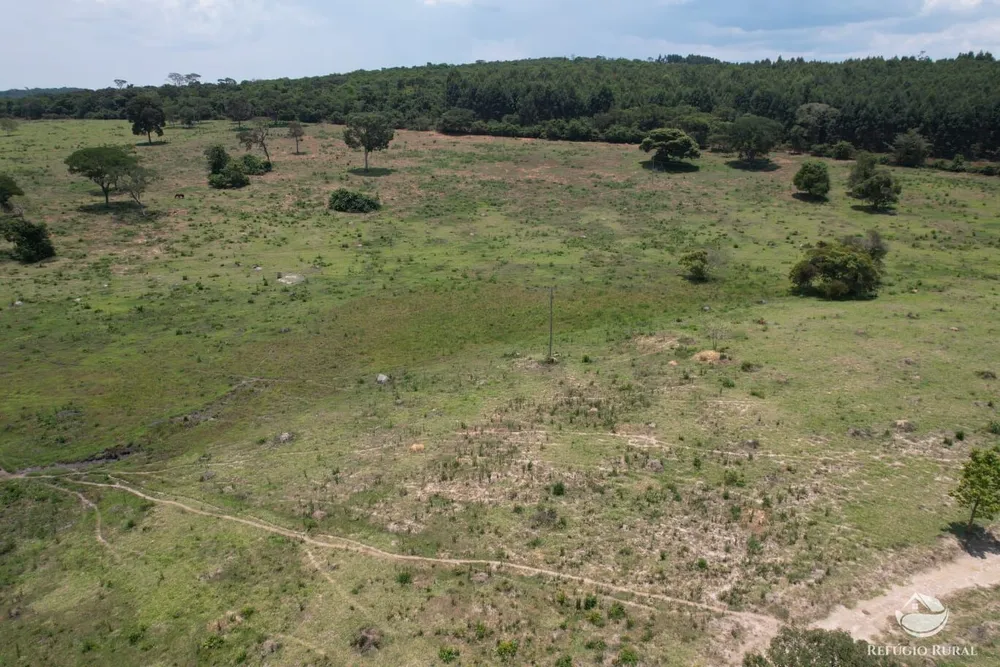 Fazenda, 576 hectares - Foto 4