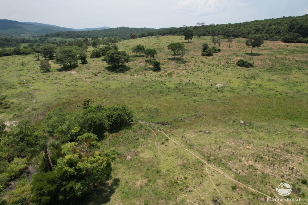 Fazenda, 576 hectares - Foto 3