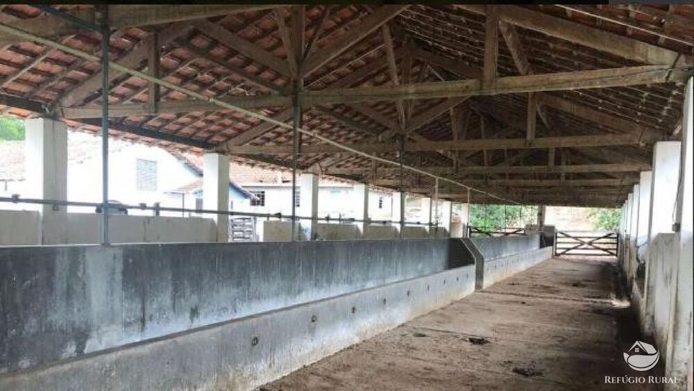 Fazenda, 2541 hectares - Foto 31