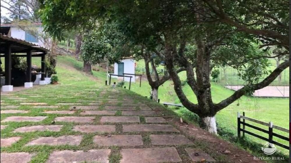 Fazenda, 2541 hectares - Foto 22