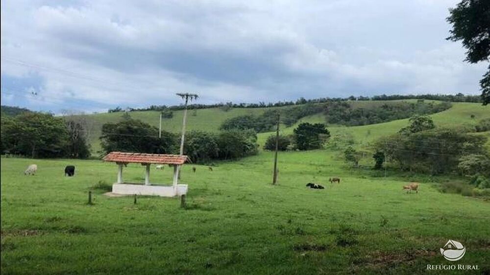 Fazenda, 2541 hectares - Foto 25