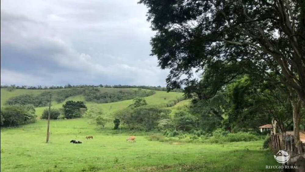 Fazenda, 2541 hectares - Foto 23