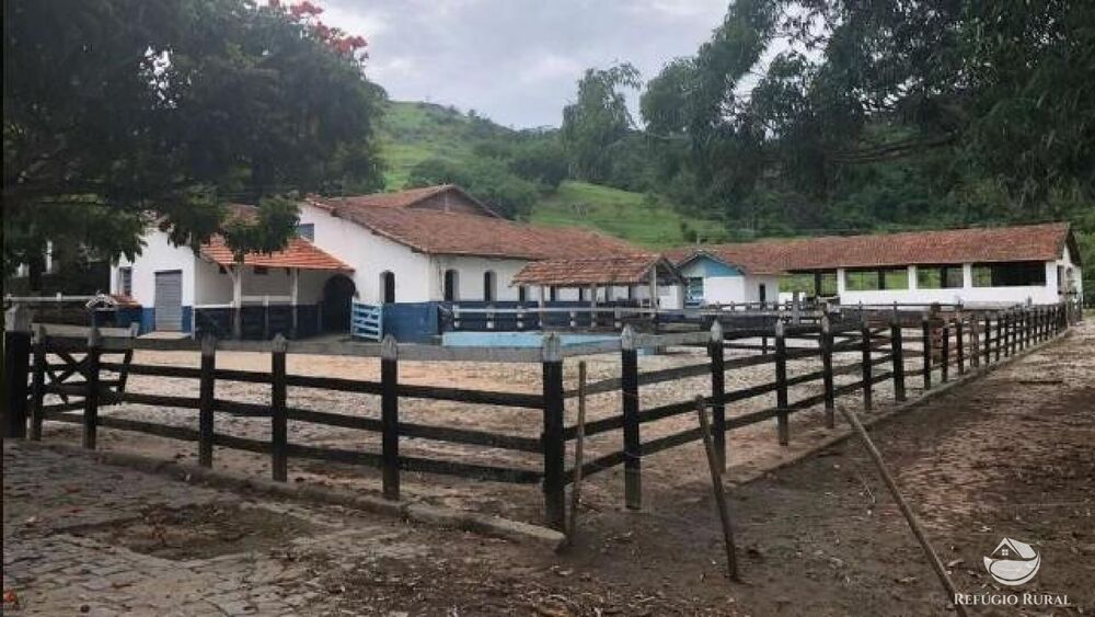 Fazenda, 2541 hectares - Foto 29