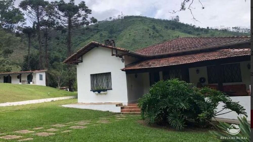 Fazenda, 2541 hectares - Foto 14