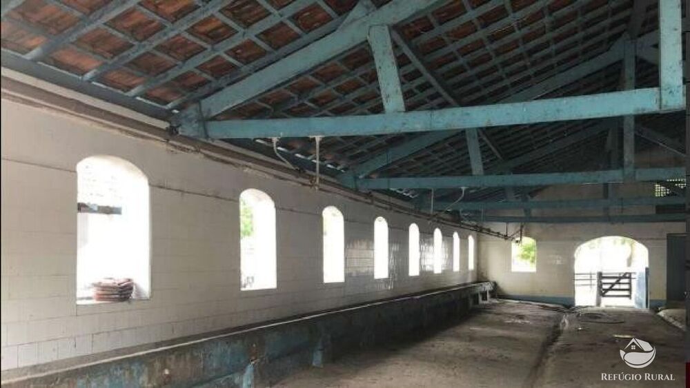 Fazenda, 2541 hectares - Foto 26