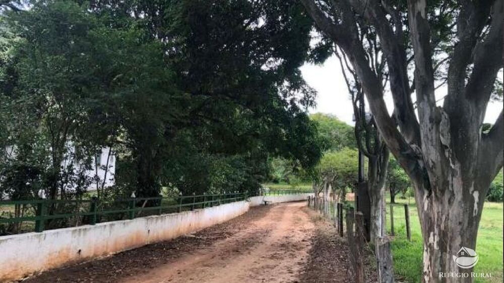 Fazenda, 2541 hectares - Foto 27