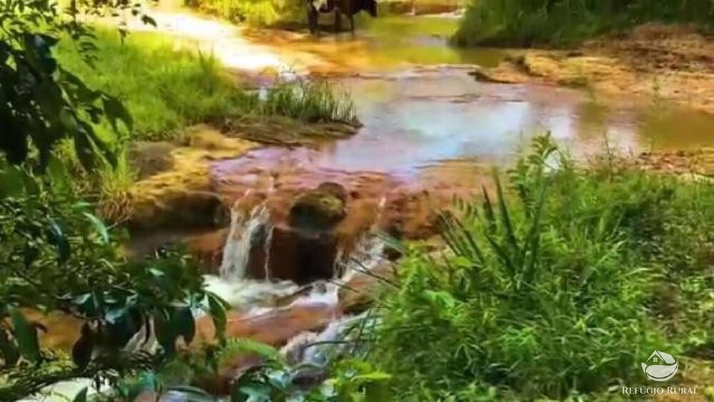 Fazenda, 2541 hectares - Foto 10