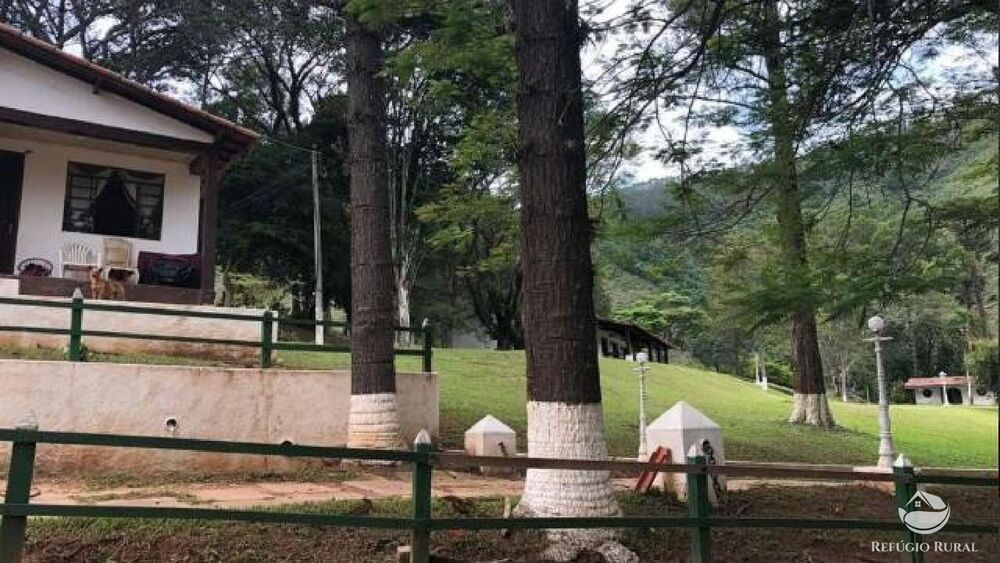 Fazenda, 2541 hectares - Foto 15