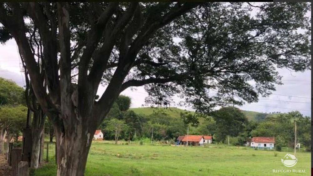 Fazenda, 2541 hectares - Foto 24