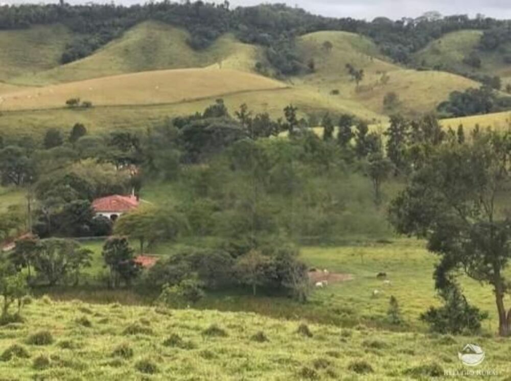 Fazenda, 2541 hectares - Foto 7