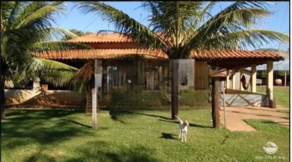 Fazenda, 2541 hectares - Foto 5