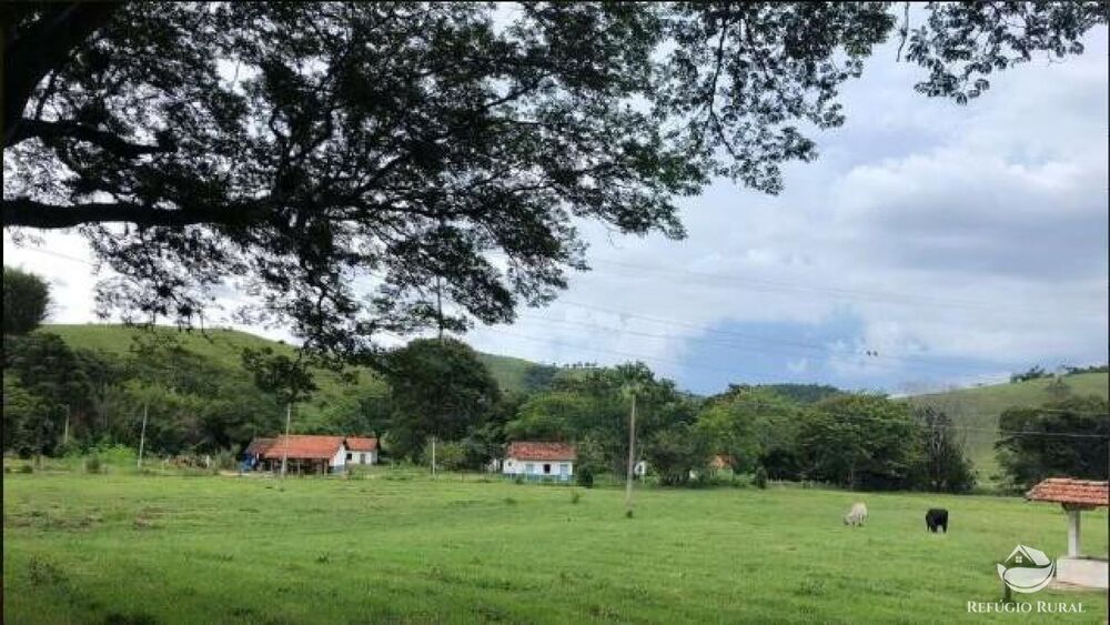 Fazenda, 2541 hectares - Foto 16