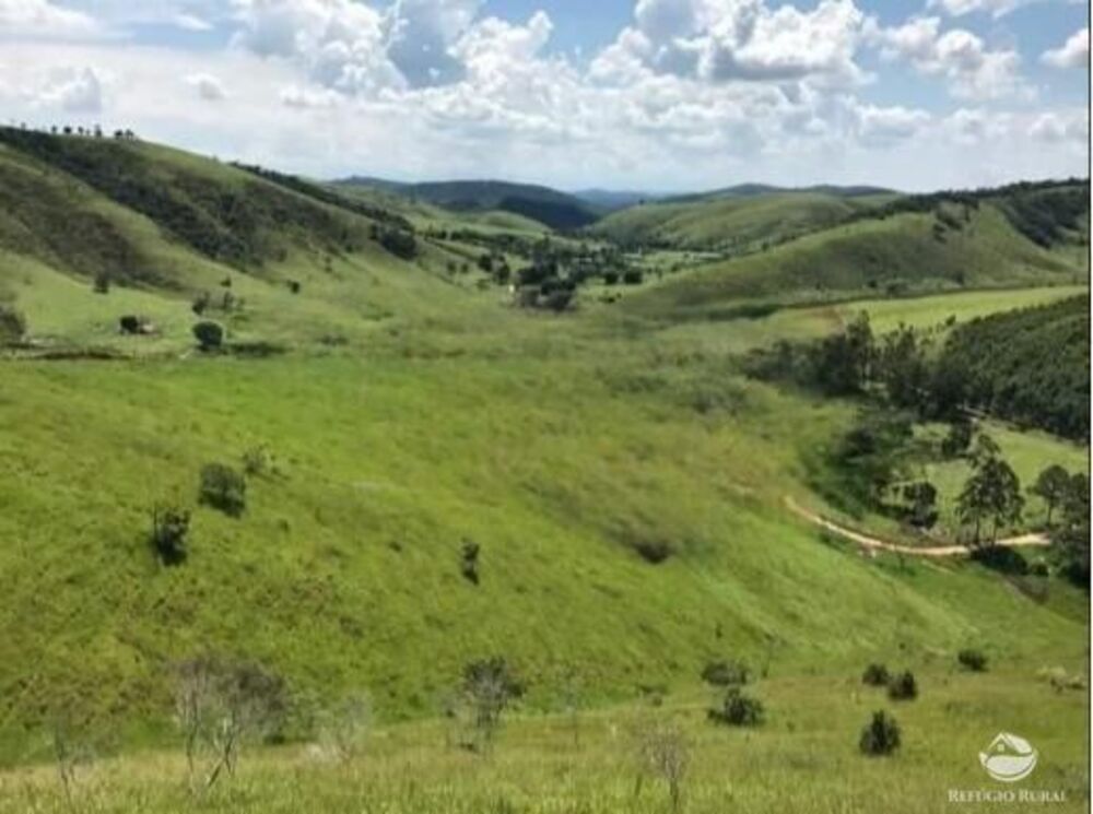 Fazenda, 2541 hectares - Foto 4