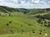 Fazenda, 2541 hectares - Foto 4