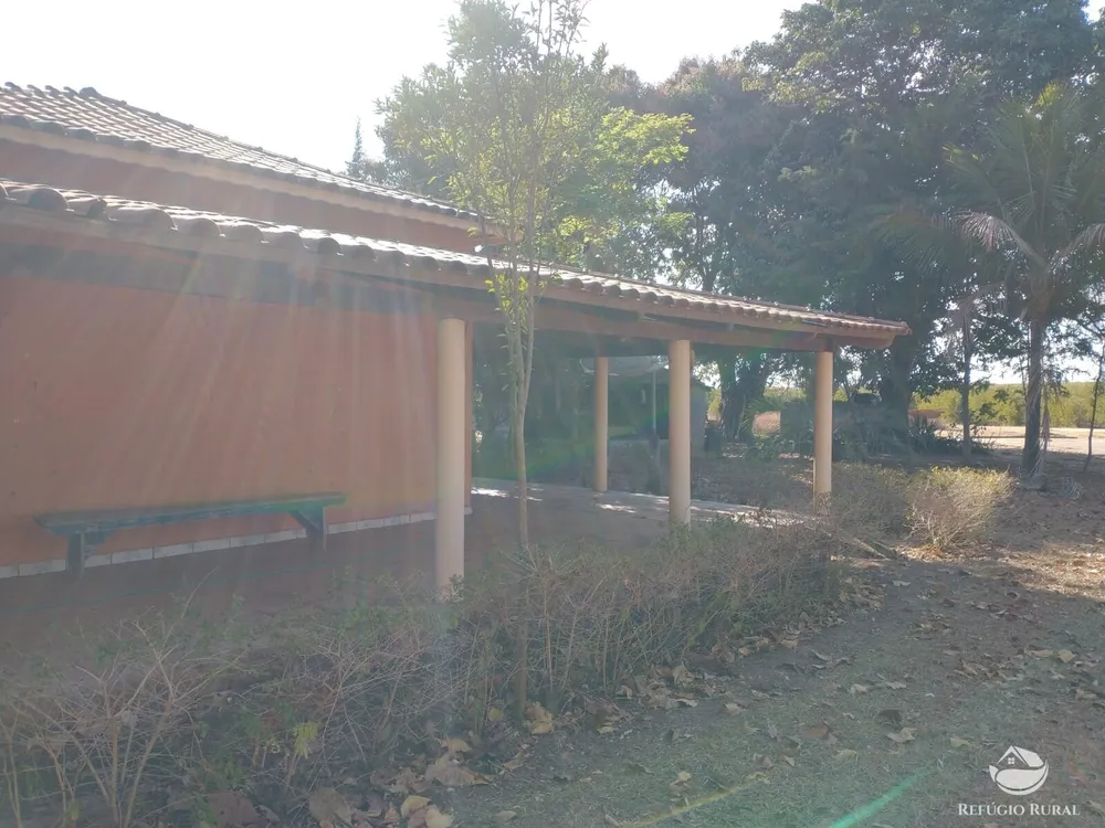 Fazenda, 265 hectares - Foto 12
