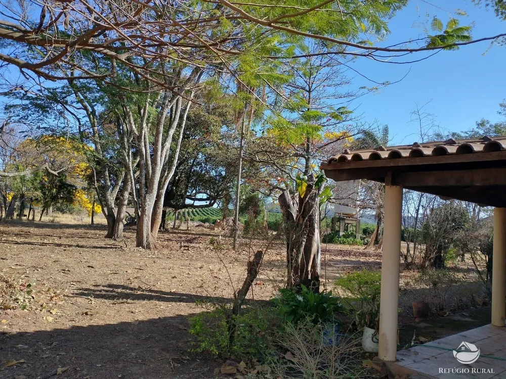 Fazenda, 265 hectares - Foto 14