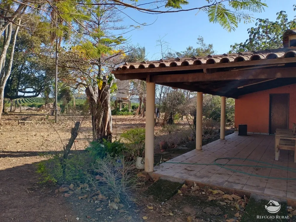 Fazenda, 265 hectares - Foto 11