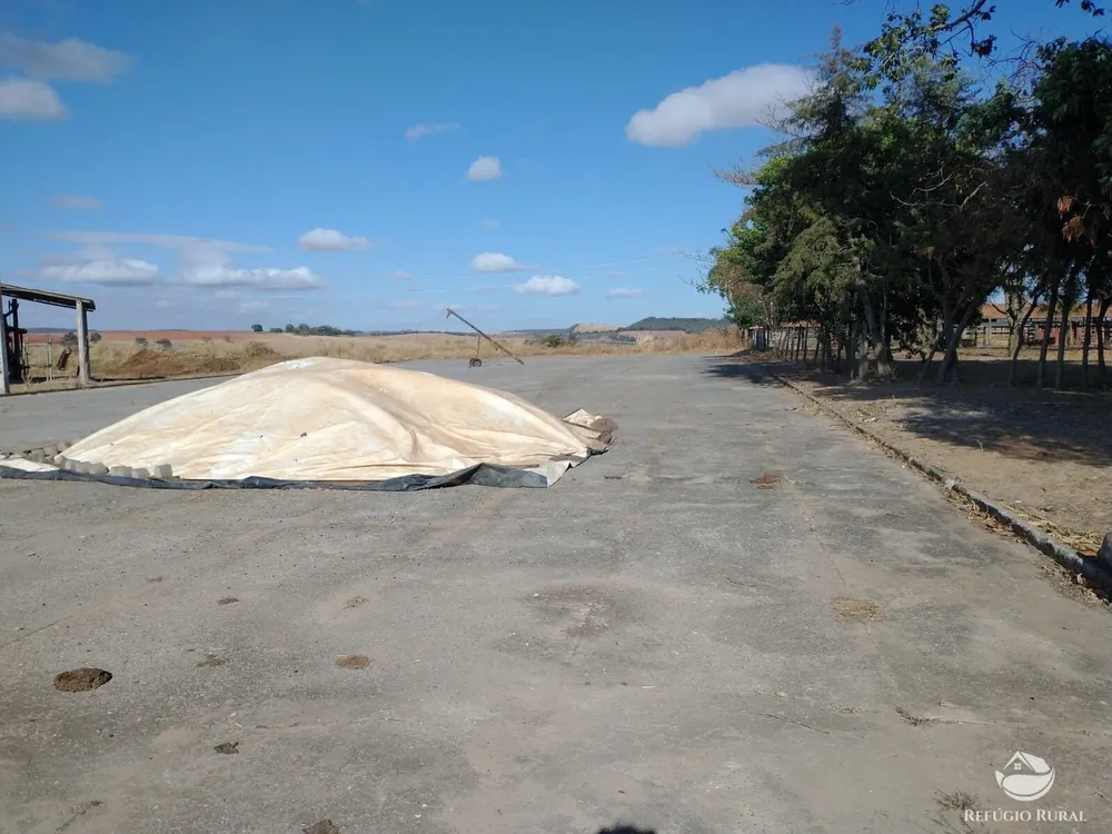 Fazenda, 265 hectares - Foto 7