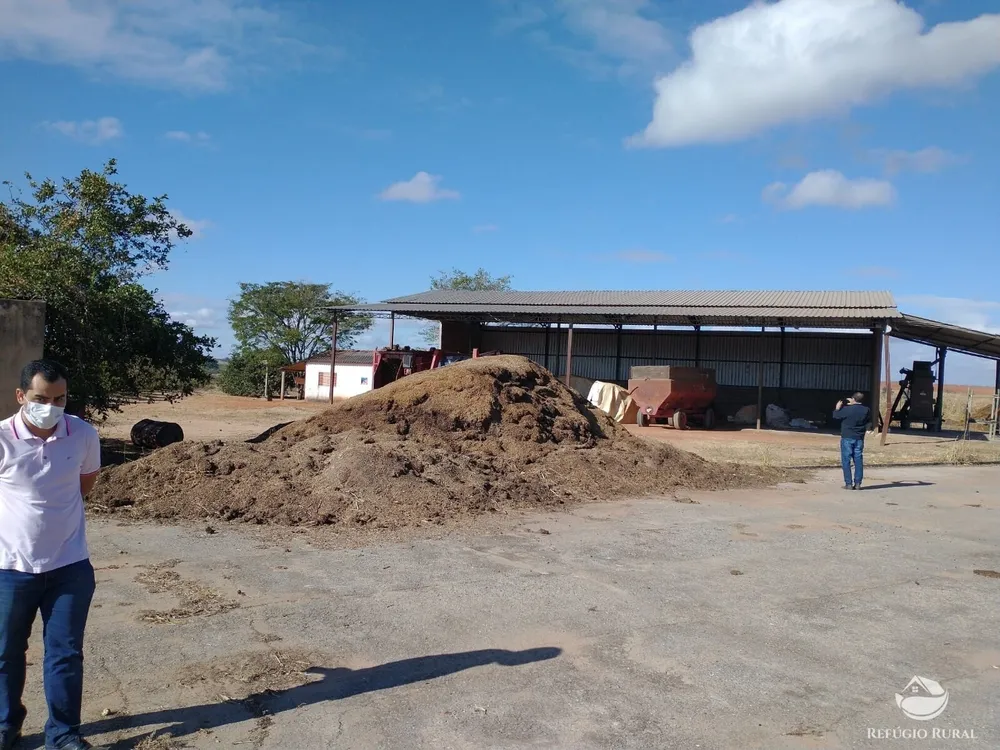 Fazenda, 265 hectares - Foto 6