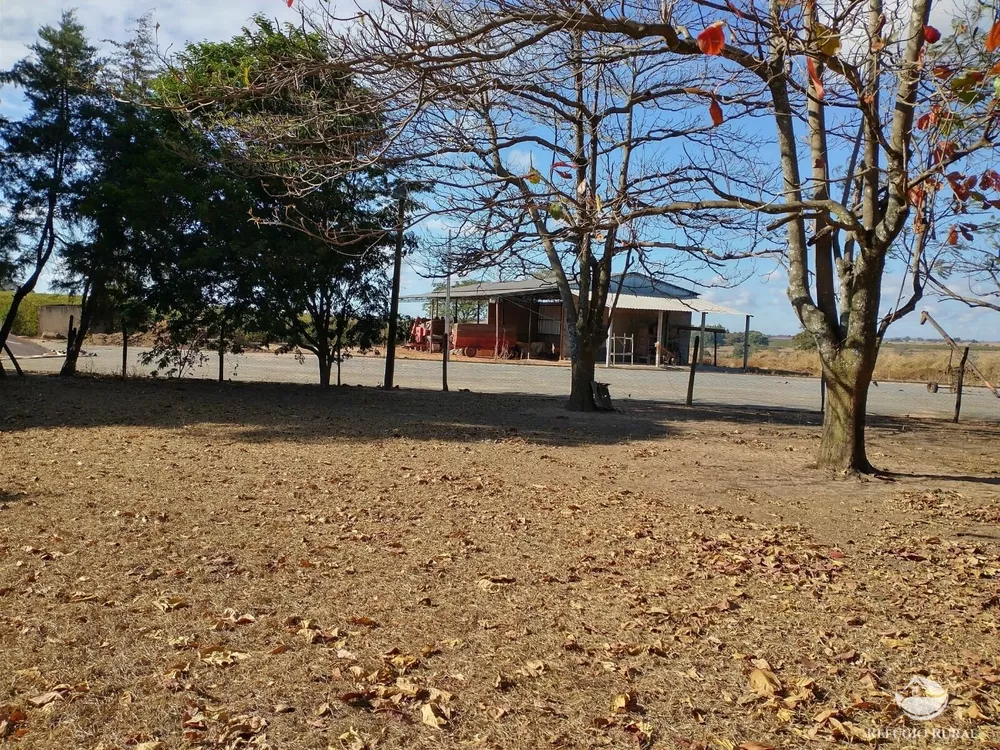 Fazenda, 265 hectares - Foto 3